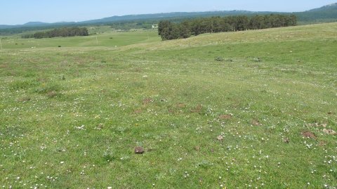 Raso Urbasa (dolinas) tumulu 1, Urbasa