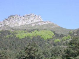Vista del Peña Mayor desde Castresana