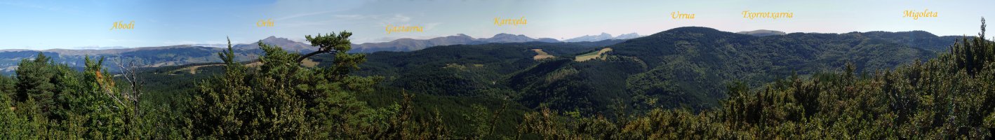 Panoramika Monterriatik ekialderantz