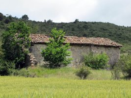 San Bernabe ermita Sarasa inguruan