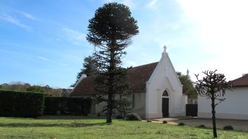 Saint Bernard ermita, Angelu