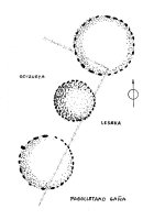 Cromlechs Pagolletako Gaña  (Croquis Mtz. Txoperena) 