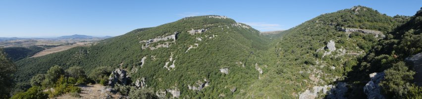 Mendizelaia eta Erbioz trokartea