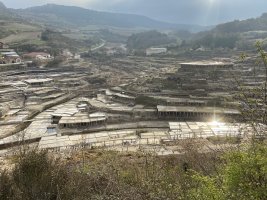 Añana Gatzaga. Añana (Gesaltza Añana)