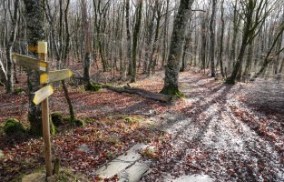 Beuntzako lepoko bidegurutzea