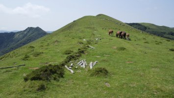 Gerasuko atakaren inguruak