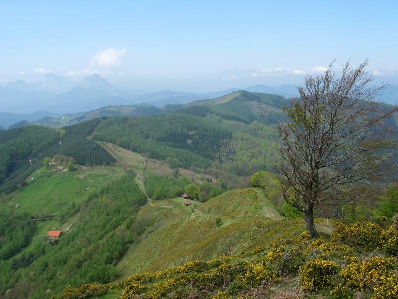 Arranoaitzetik Landarraitz aldera begira