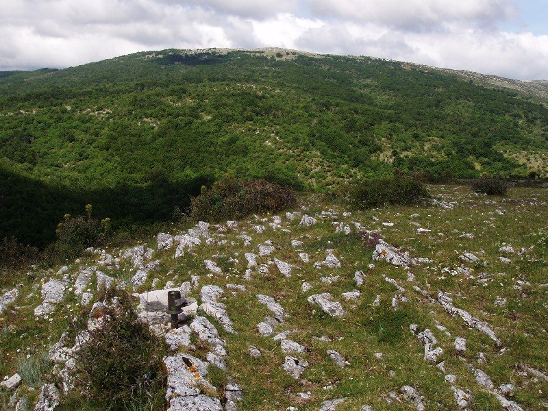 Gailurra. Atzean, Treku (Bordas Viejas)