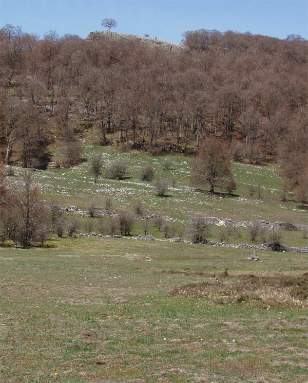 Bardoitzako (Eraul) gailurra (1110m)