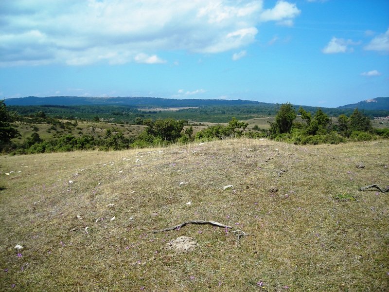 Regajo de Andasarri tumulua