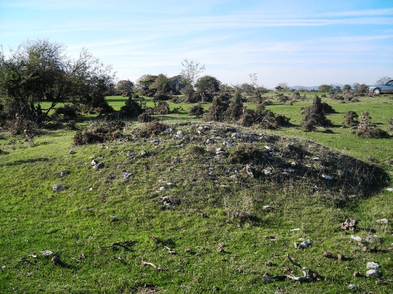 Rasos de Ezpola campo tumular