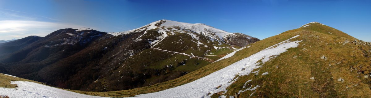 Egurtegiko gainaldea