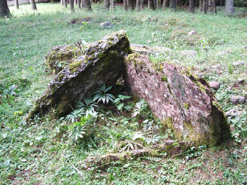 Campamento Ramiro El Monje trikuharria