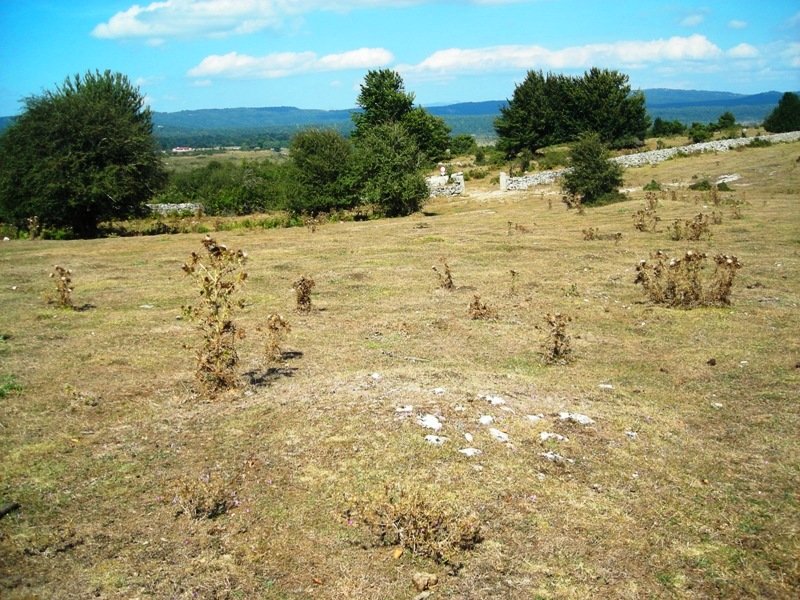 Alto de Andasarri eremu tumularra