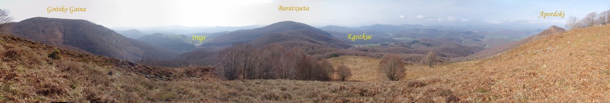 Panorama Urdanatzetik