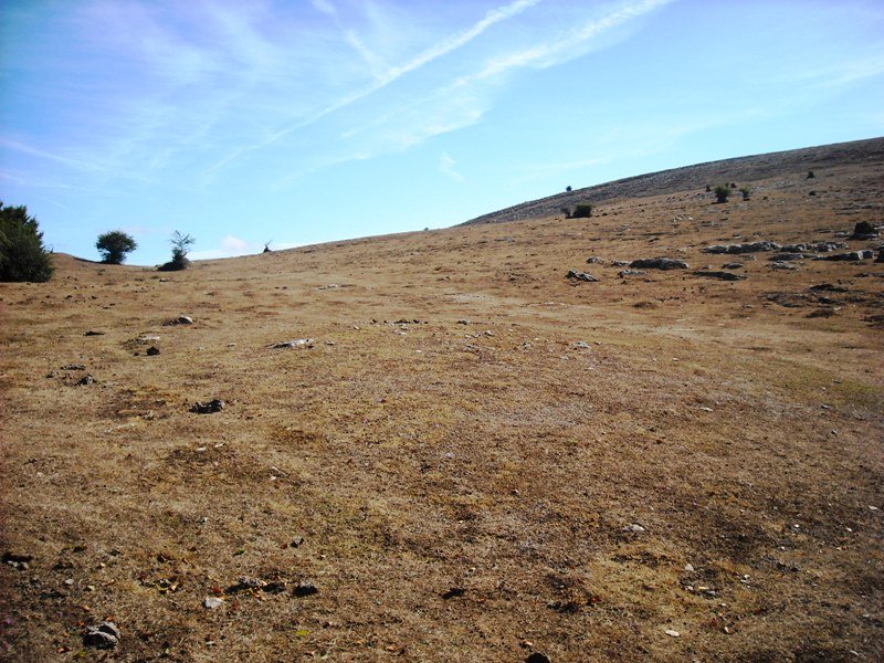 Larginburuko lepoa