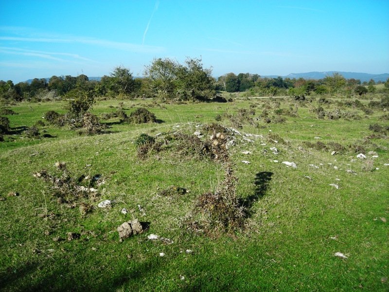 Rasos de Ezpola 