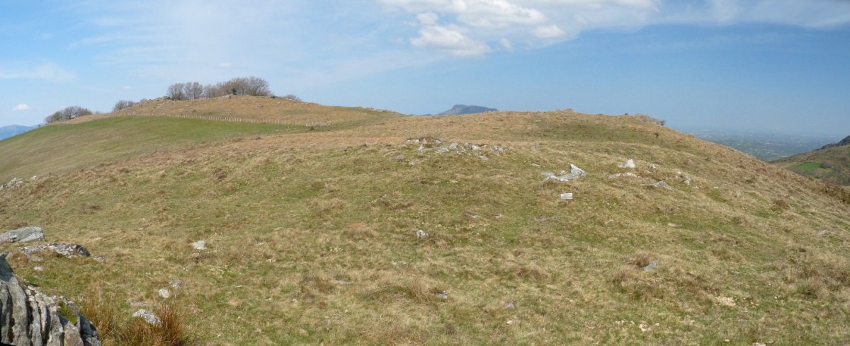 Altsoroiko harrespila. Atzean, Zentinel mendia