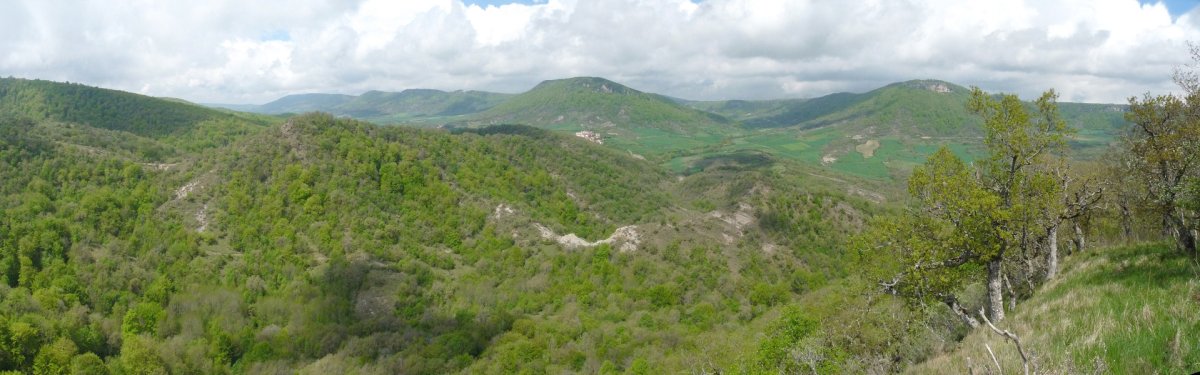 Panorama zabala Armontu/Zulazpeko gailurretik iparralderantz