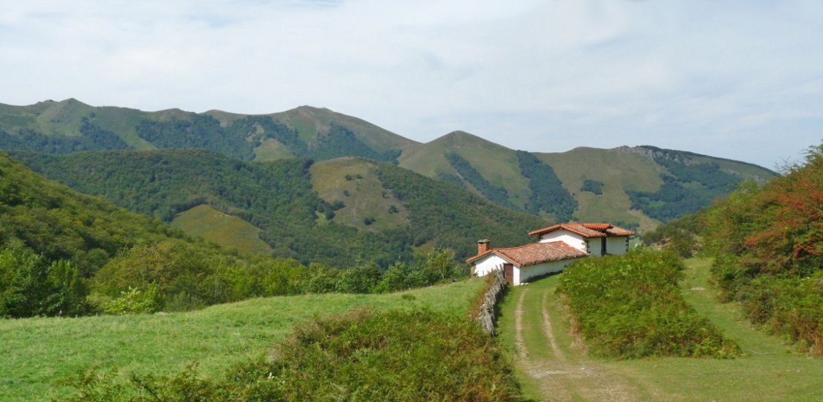 Neguko Saroia, Trepako bizkarraren hegietan