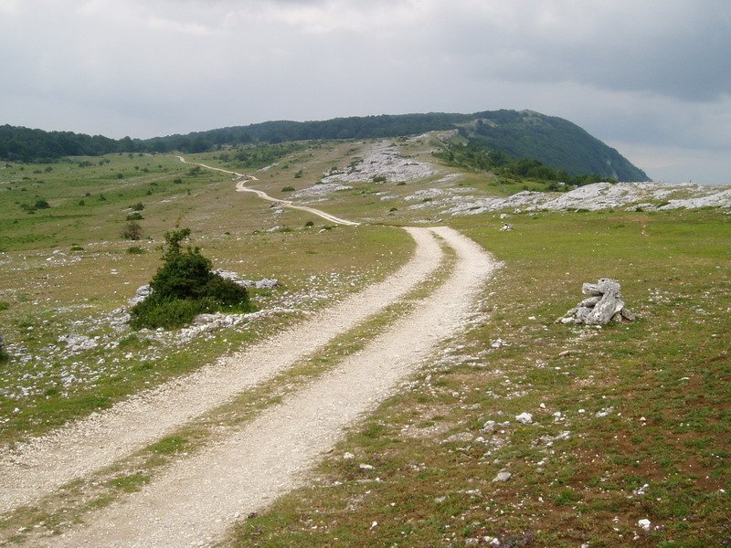 Mendizelai eta Baitza