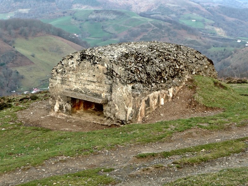 Bunkerra Tontor Inguruan