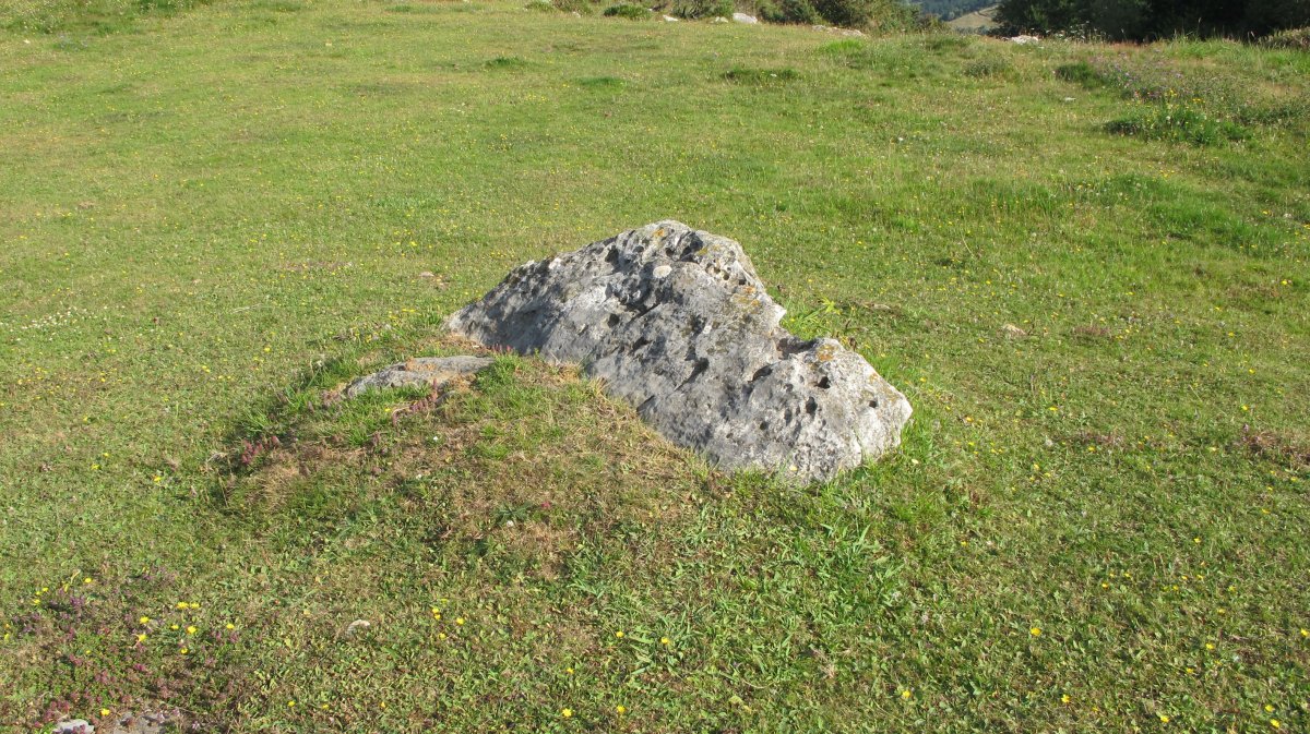 Palankaleku trikuharria, Asteasu