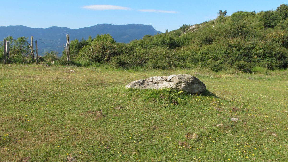 Palankaleku trikuharria, Asteasu