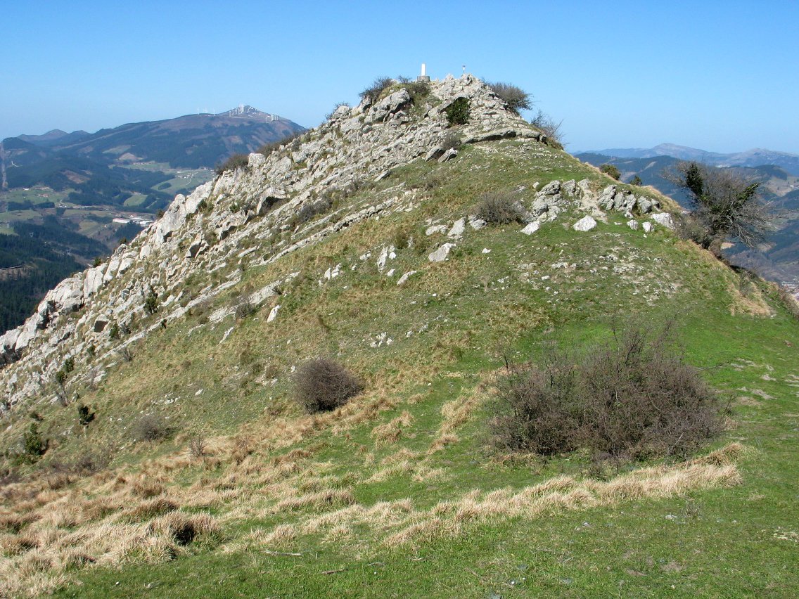 Tontorra