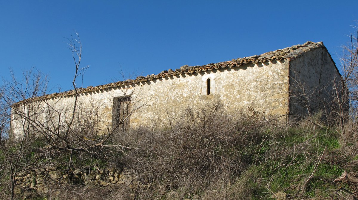 Andremaria ermita, Hiriberri