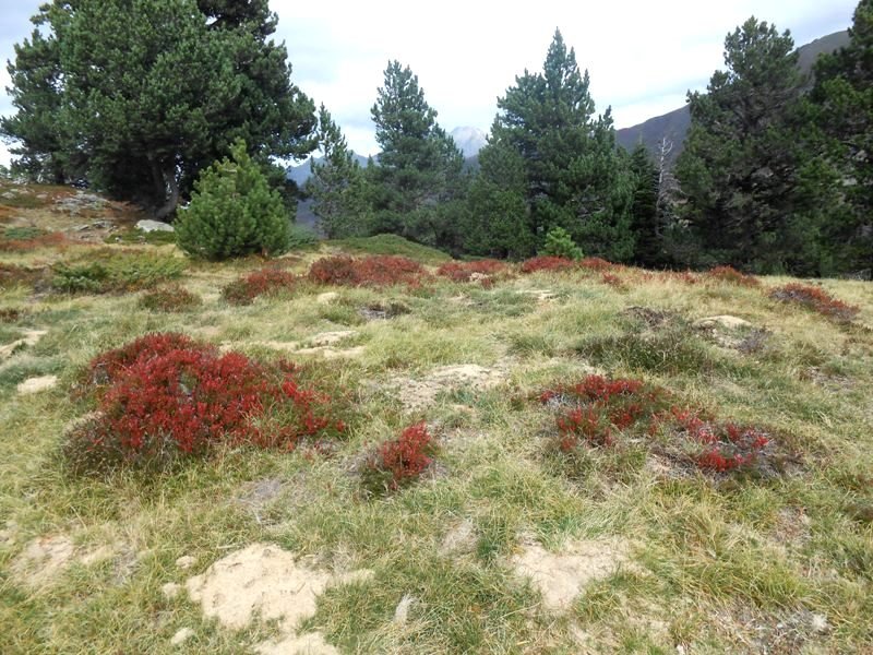 col de gouetsoule 1