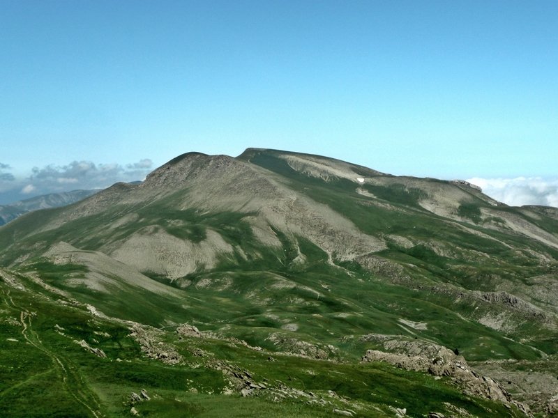 Lapaquiza de Linzola