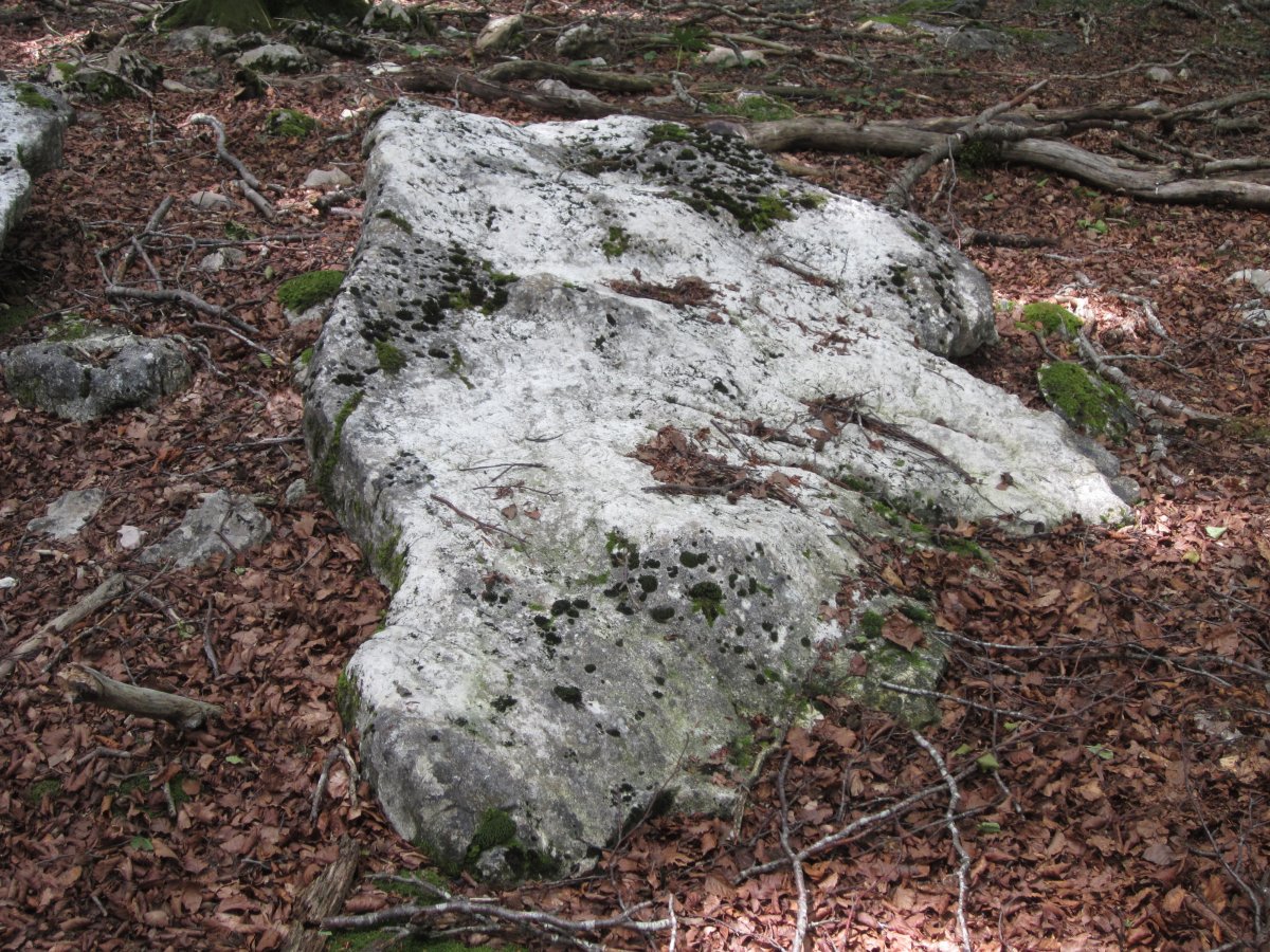 Menhir Baio II  (Julio  2014)