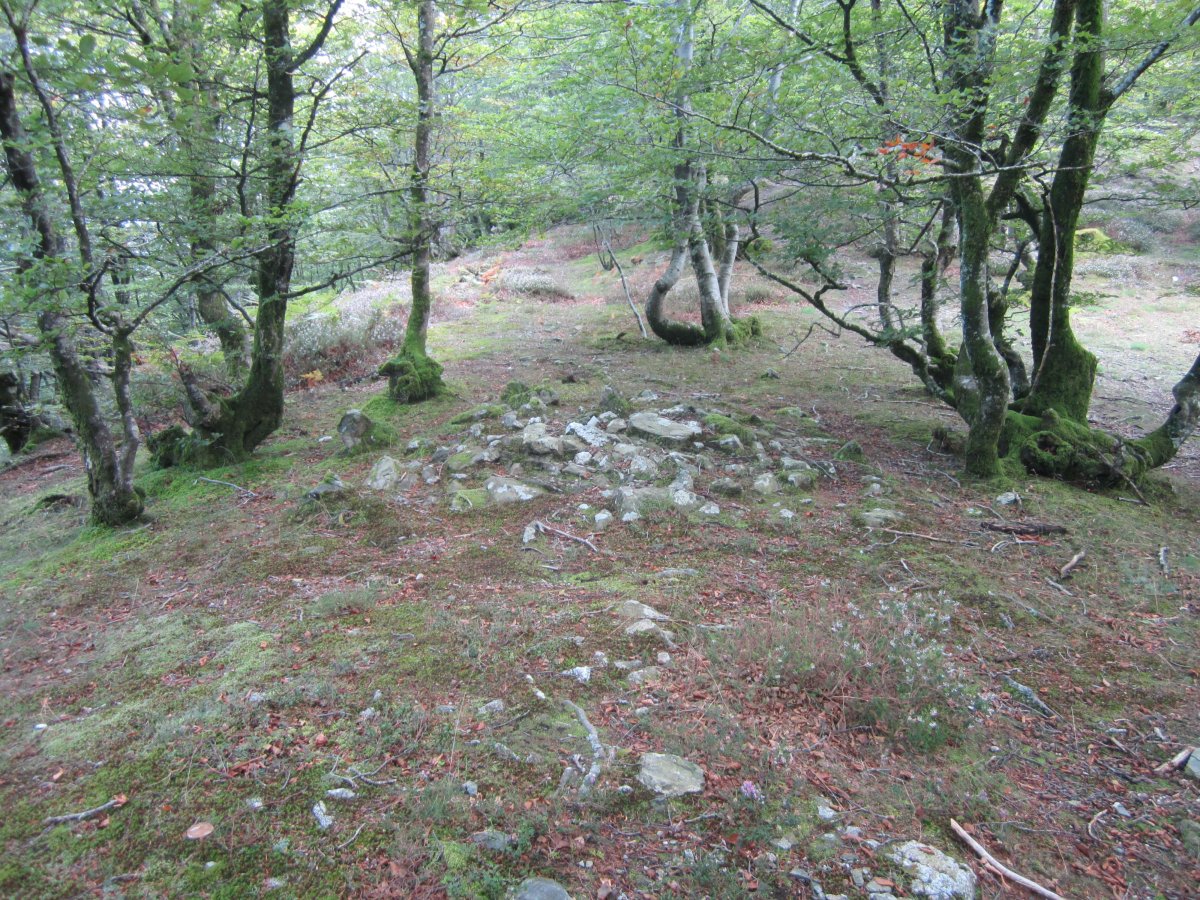 Túmulo ó Cromlech Tumular Sorageta Iparralde nº 1  (Agosto 2014)