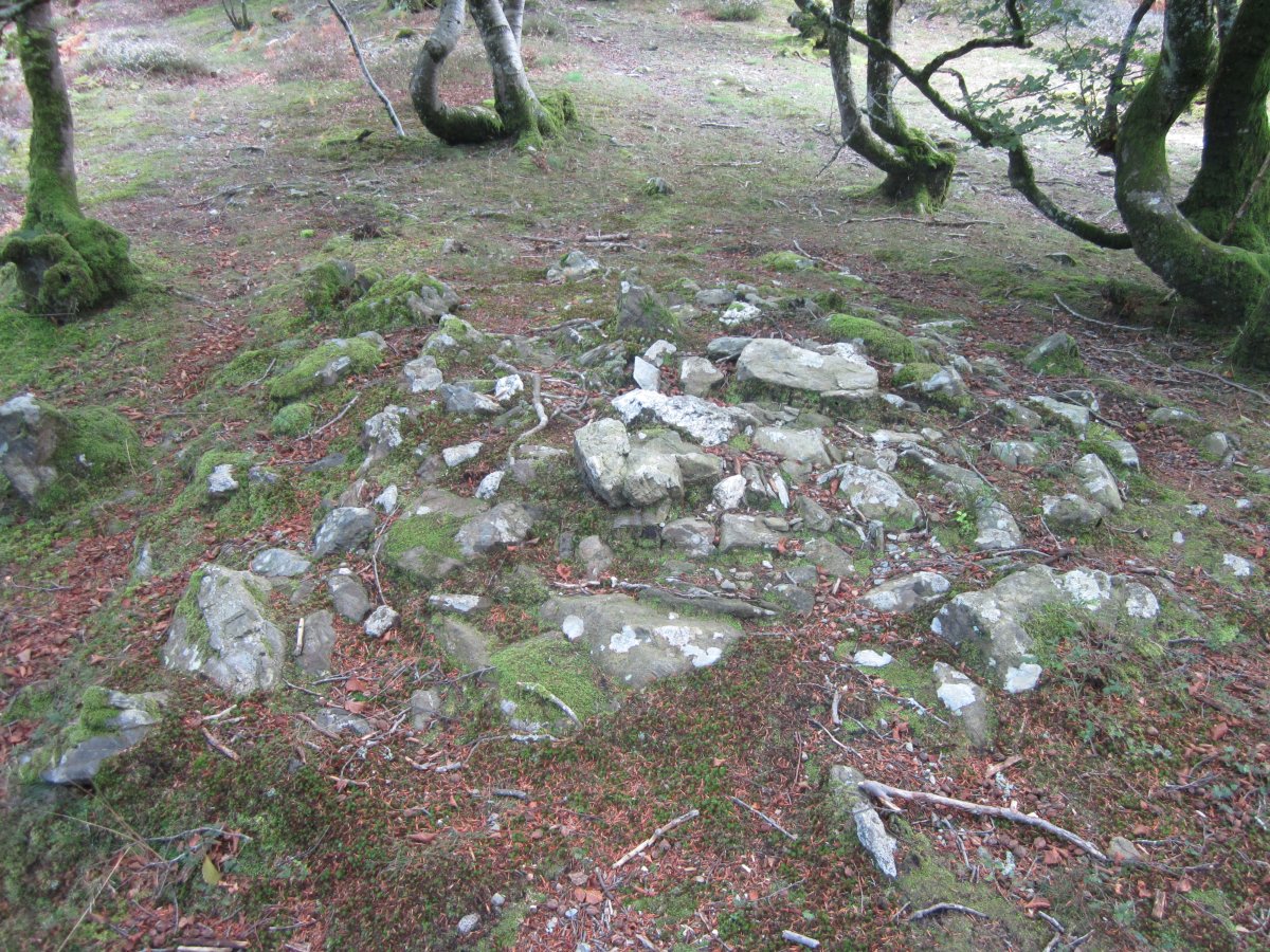 Túmulo ó Cromlech Tumular Sorageta Iparralde nº 1  (Agosto 2014)