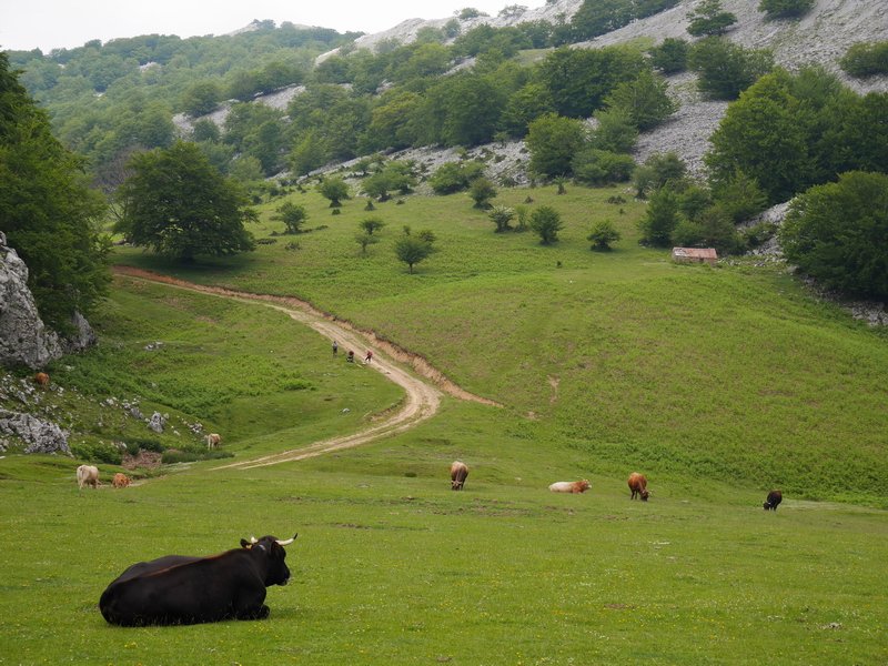 Zastegiko landa