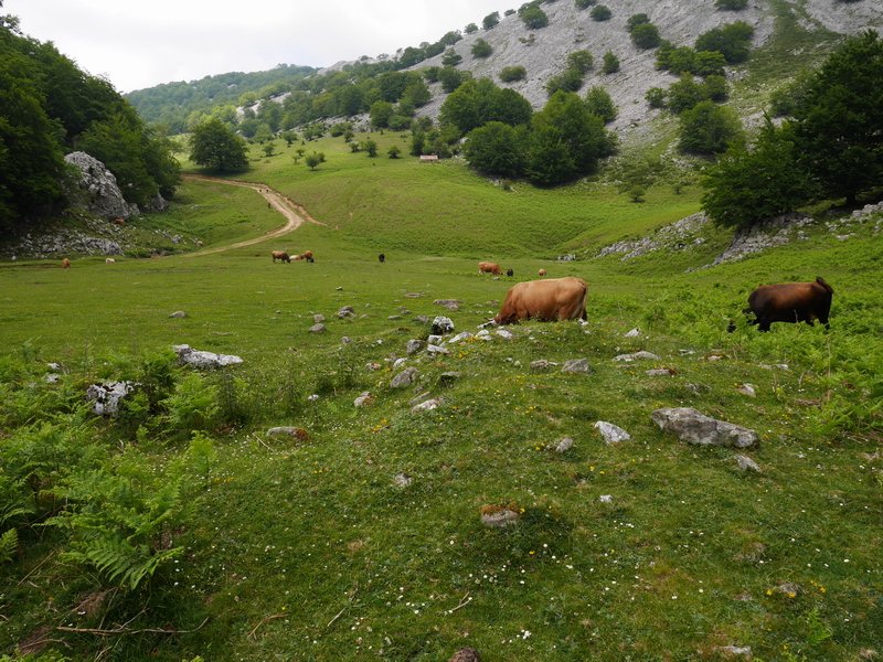 Zastegiko landa 2 tumulua