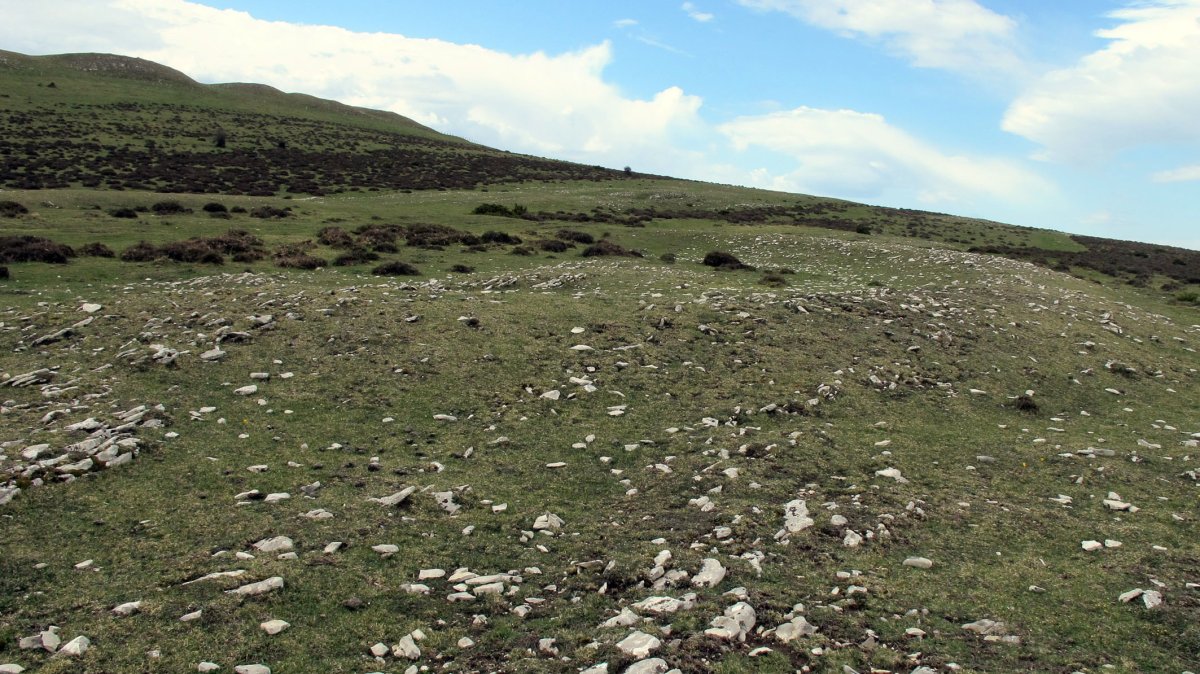 San Donatoko bidea eraztun-tumulua, Andia