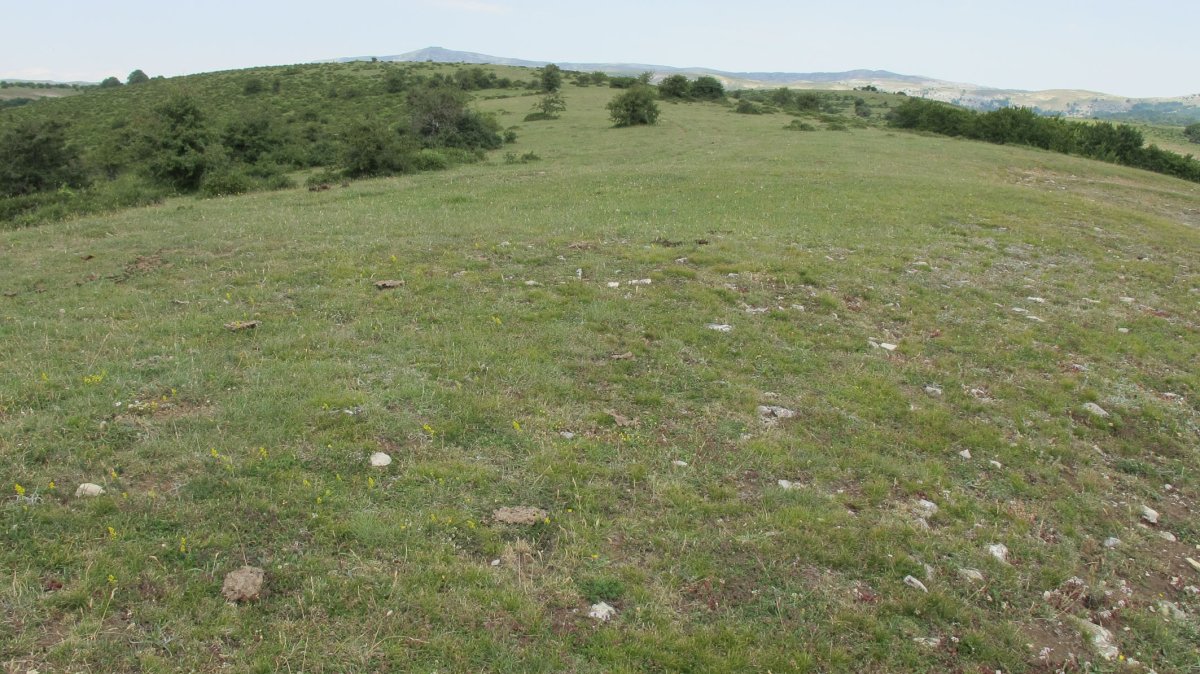 Zoiolako Lepoa 1 eraztun-tumulua, Munarriz-Goñi