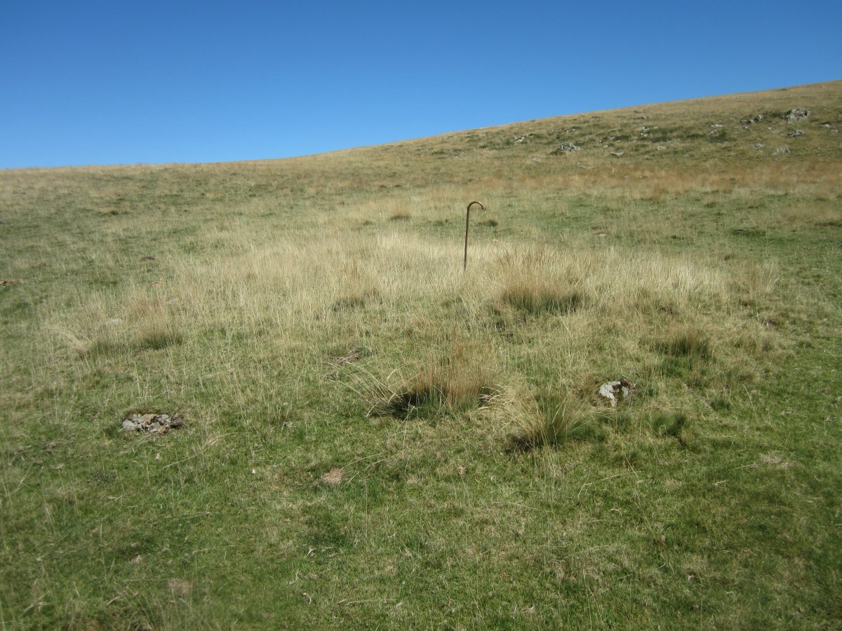 Cromlechs Apatesaro Ekialde  (Agosto 2015)