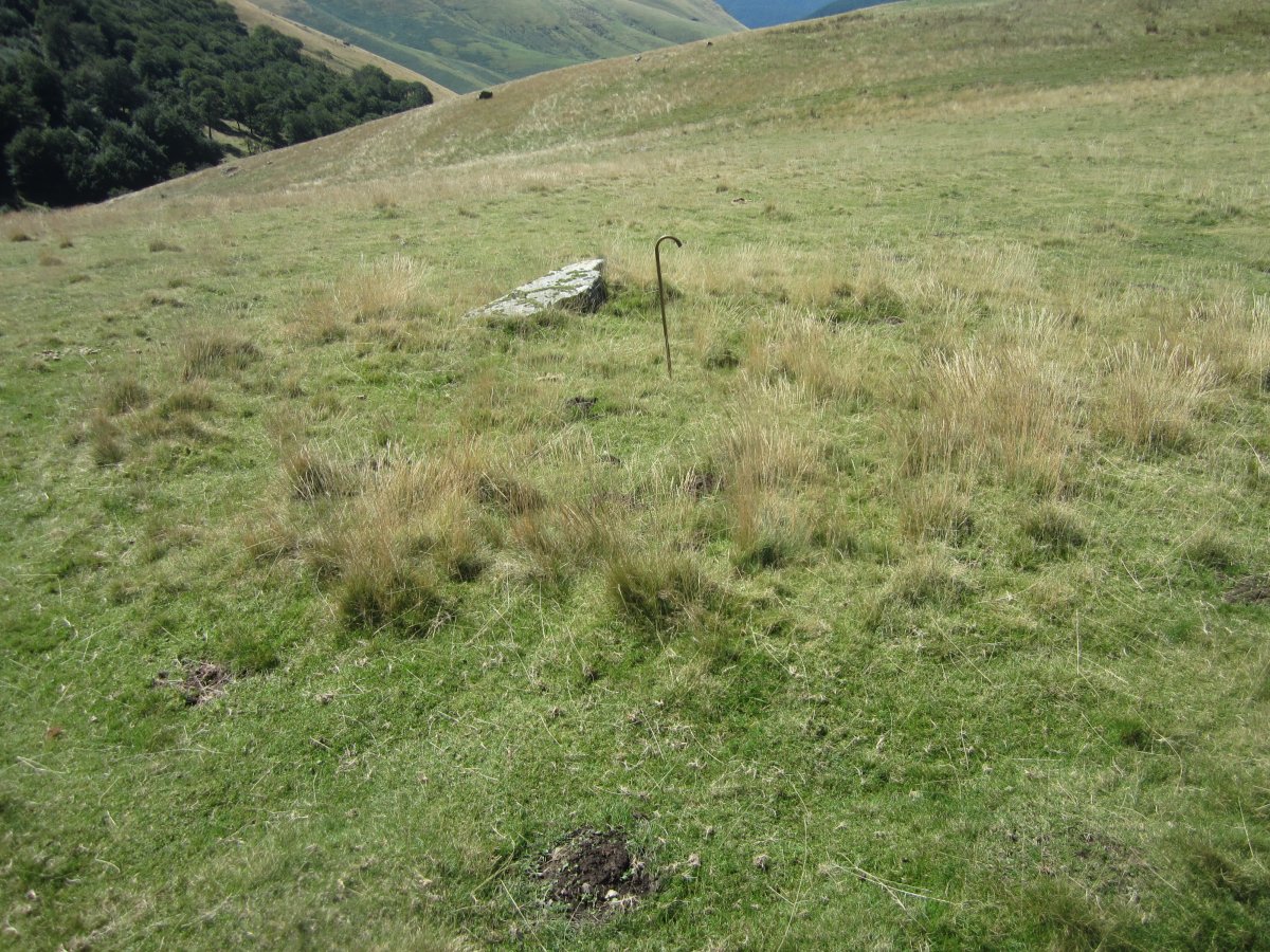 Cromlechs Apatesaro Ekialde  (Agosto 2015)