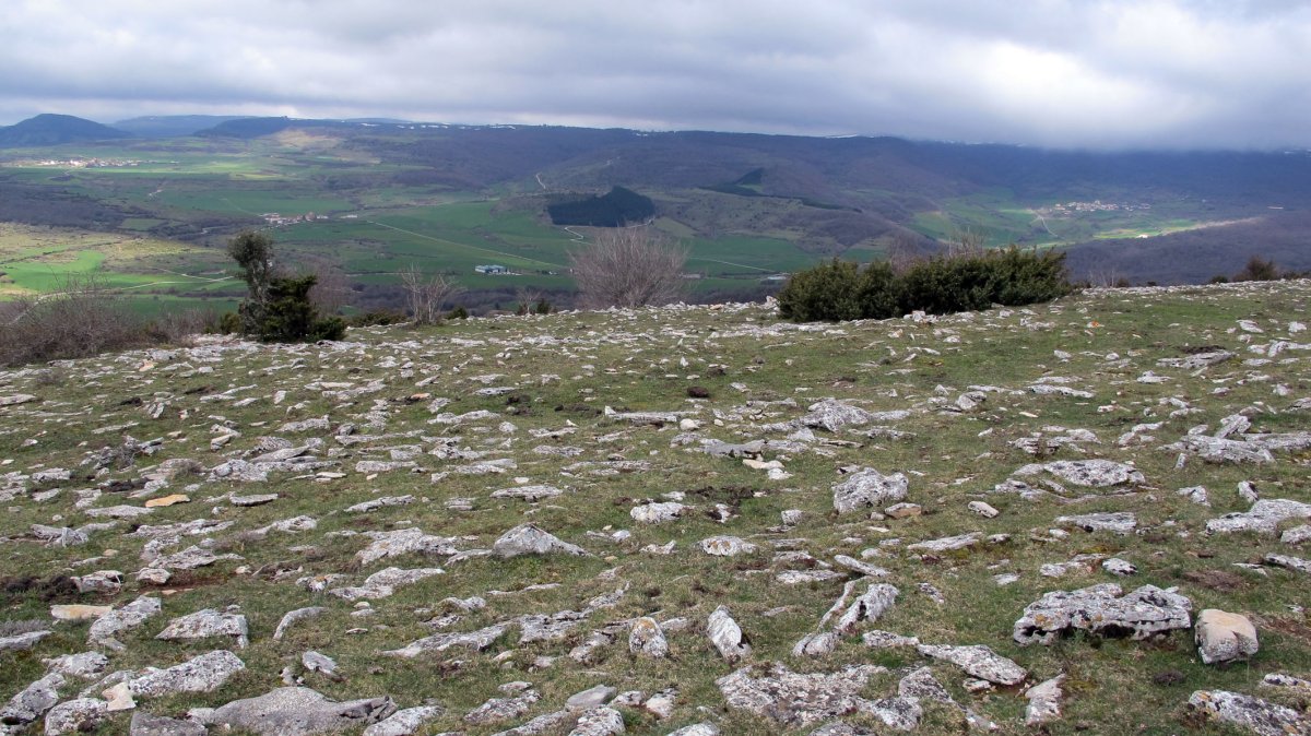 Balsa Illarradi 1 eraztun-tumulua, Azantza-Goñi