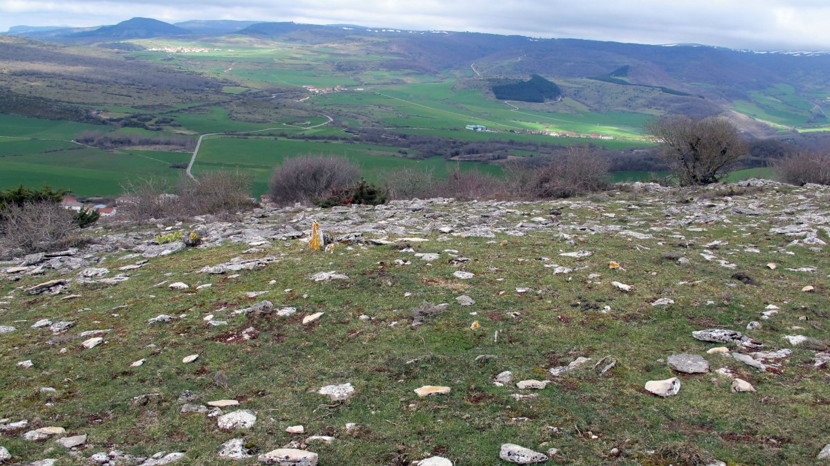 Balsa Illarradi trikuharria, Azantza-Goñi