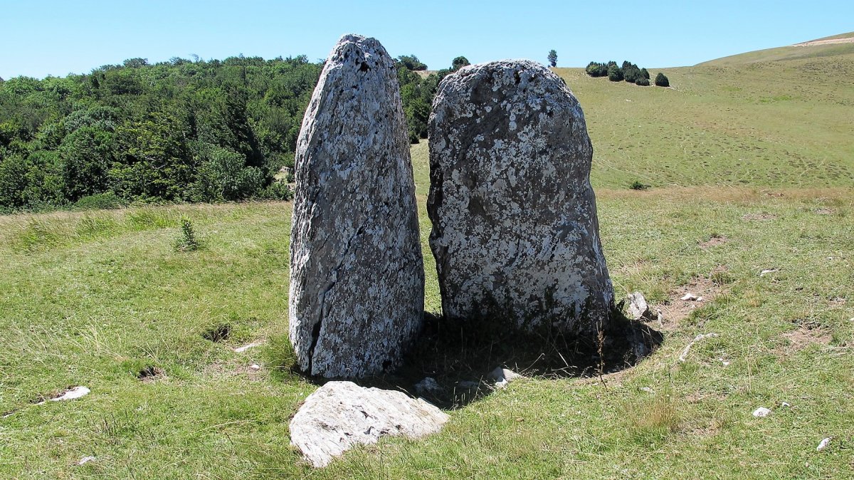 Arriluze trikuharria, Otsagabia