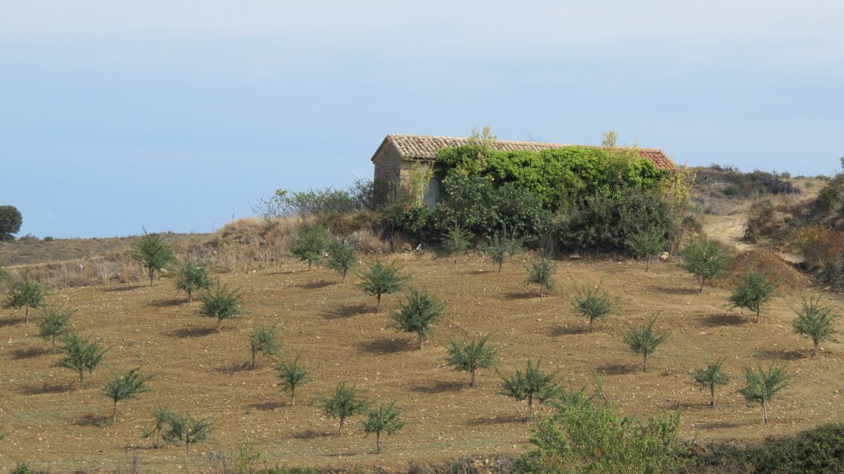 Santa Maria ermita, Barbarin