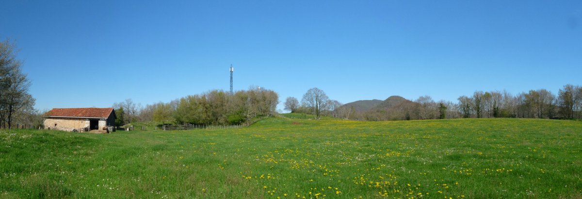 Iturrondoko gainaldeko larreak