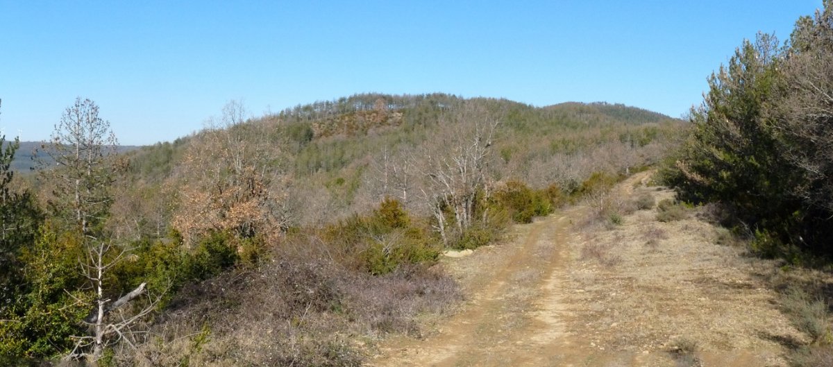 Pista zabaletan barrena