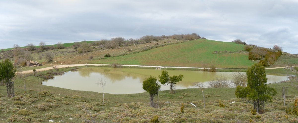 Balsa Vieja