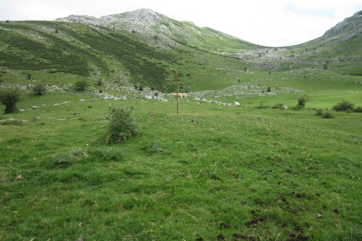 Fondo de Cabaña Etzantza  (Julio 2018)