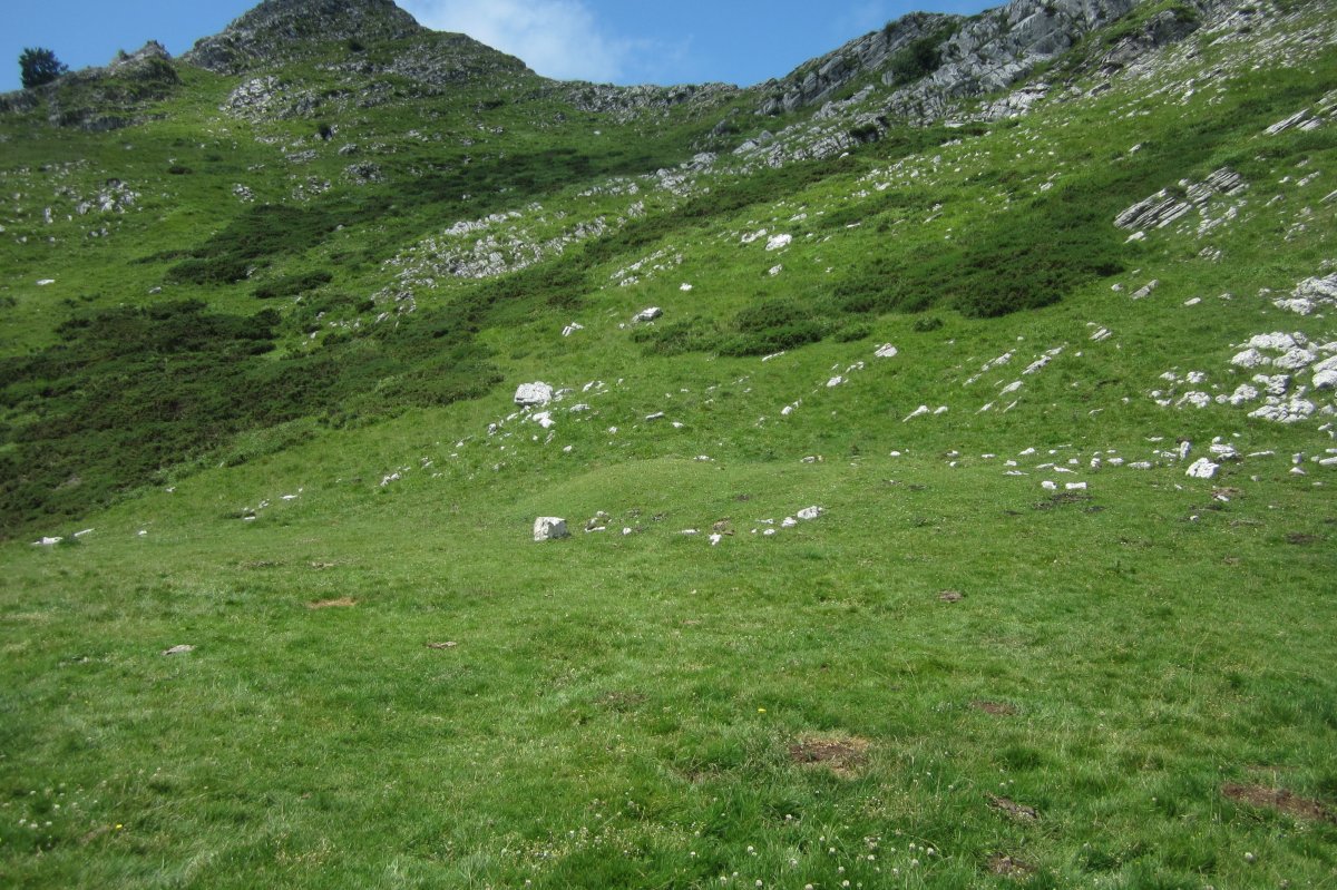 Fondo de Cabaña Algorta  (Julio 2018)